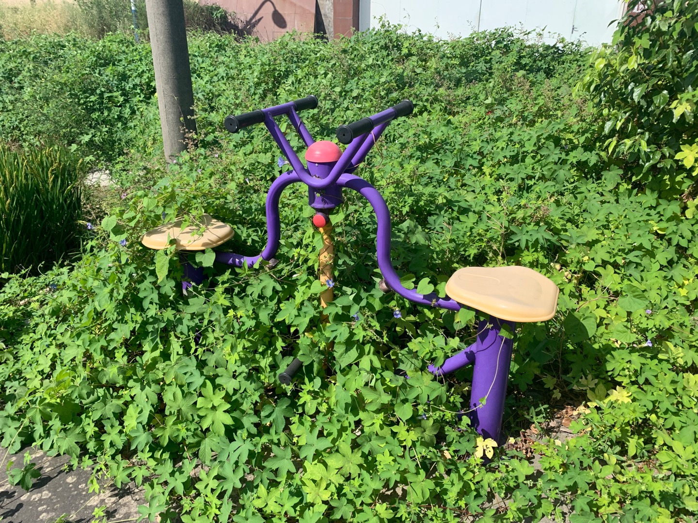 下肢康复器 下肢康复器