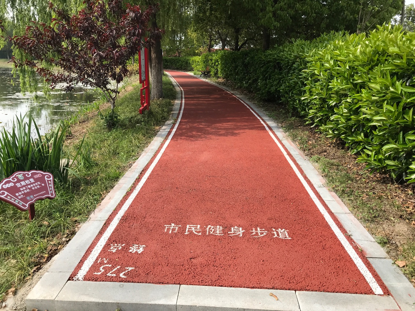 金泽镇蔡浜村健身步道