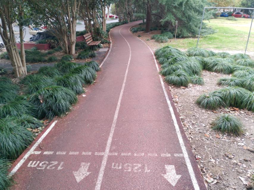 东城一村健身步道