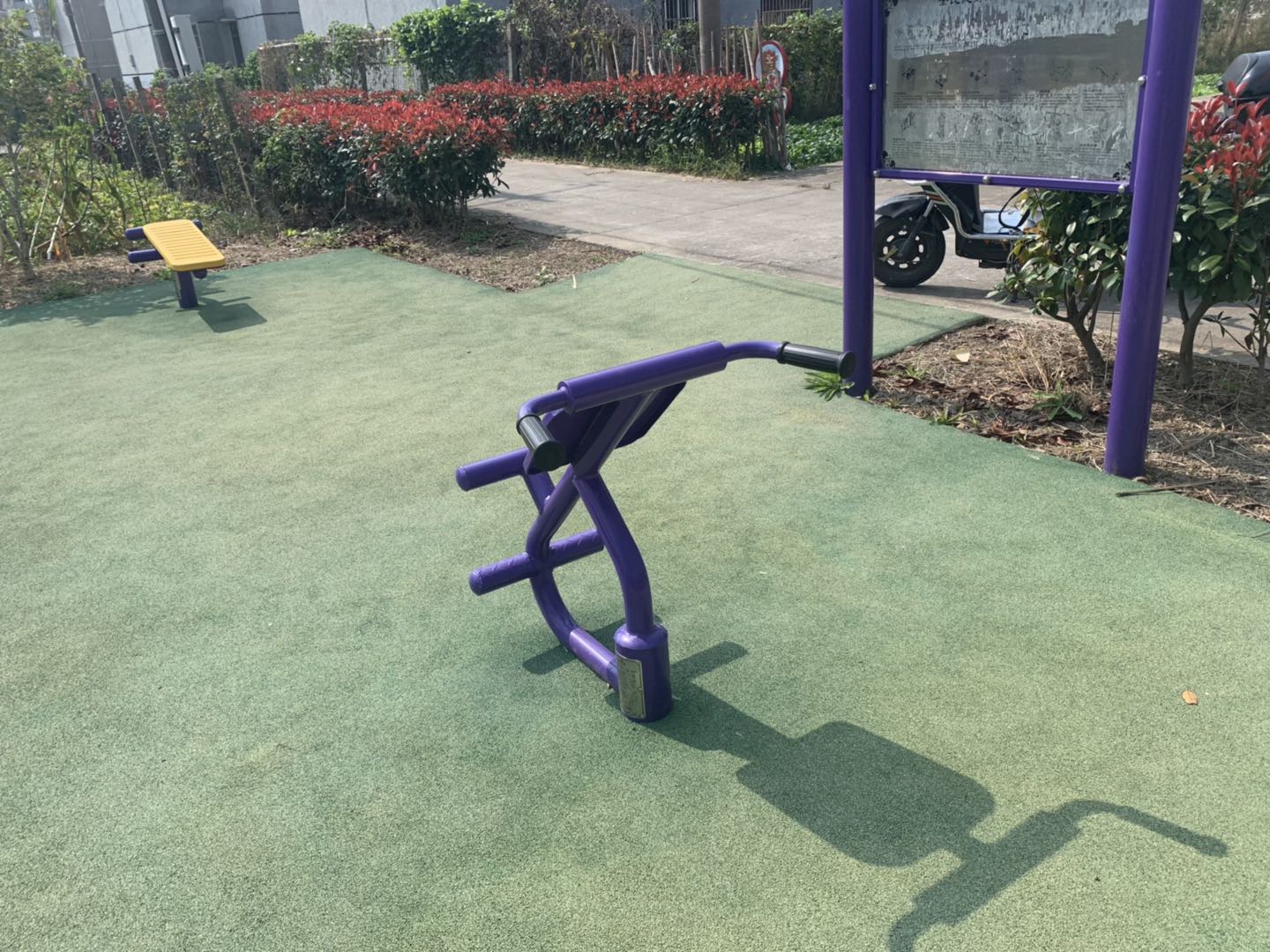 背肌训练器