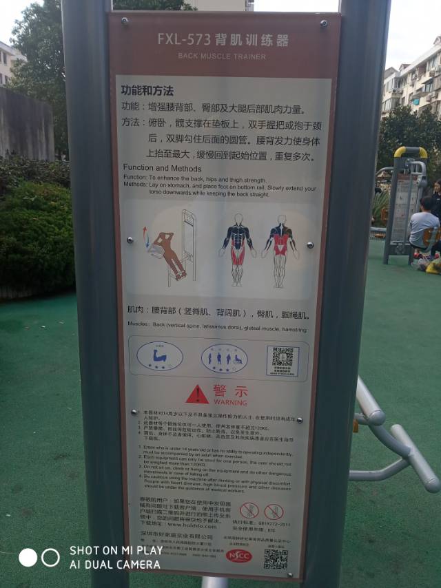 背肌训练器