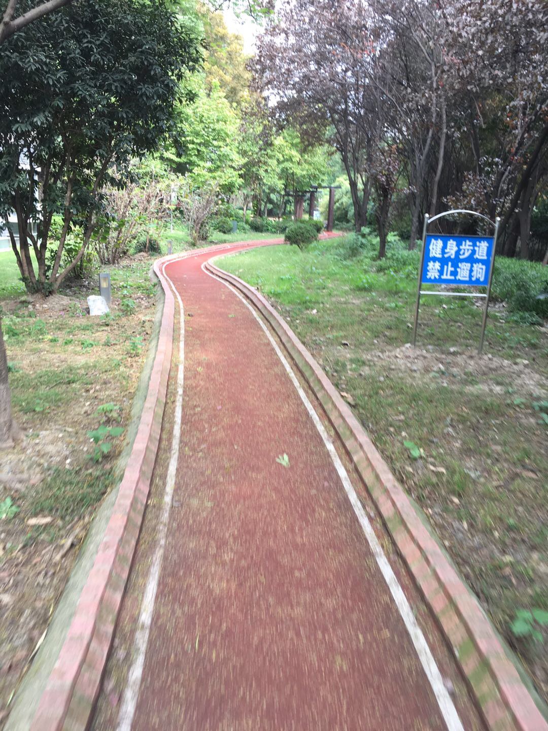 星河世纪城星月蓝湾市民健身步道