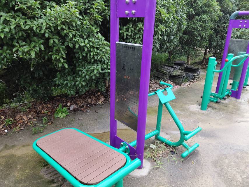 背肌/腹肌训练器