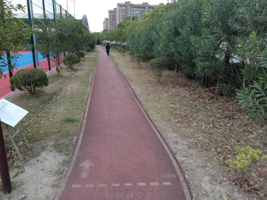 滨河公园健身步道