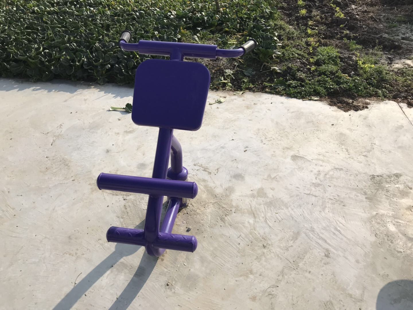 背肌训练器