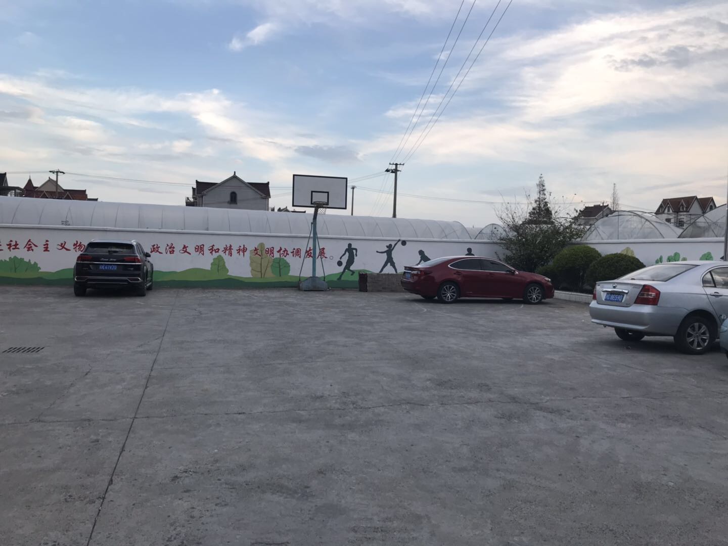龙树村篮球场