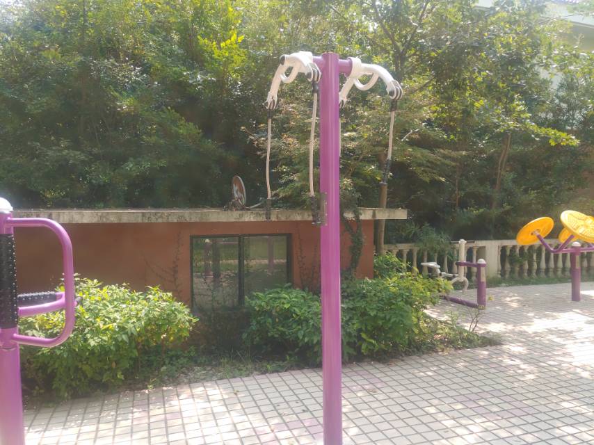 上肢牵引器（两站位）