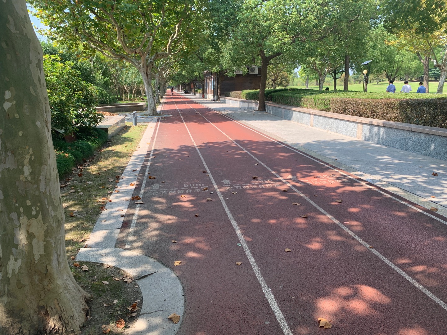 中央公园绿地百姓健身步道