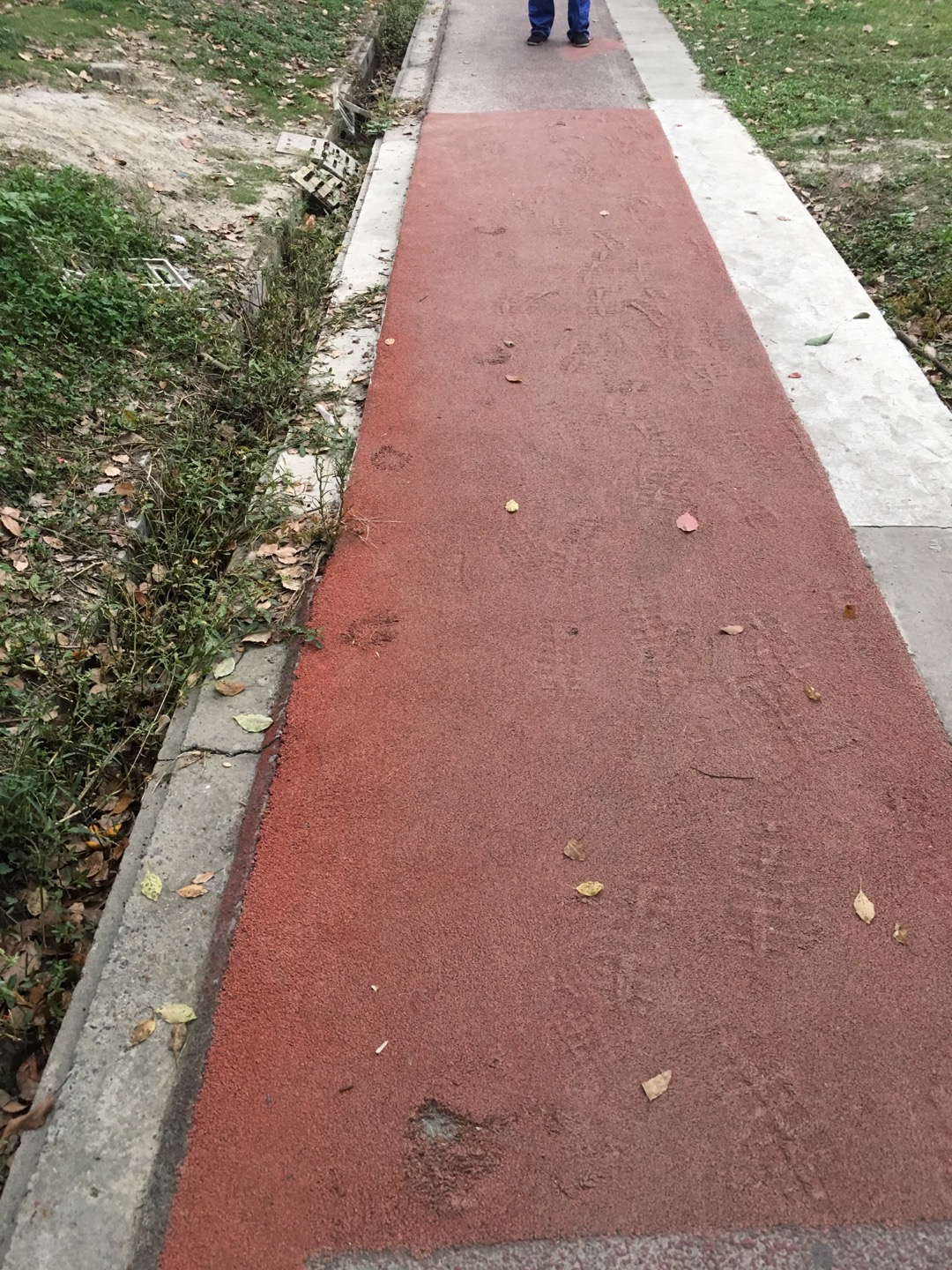 长溇敬老院百姓健身步道