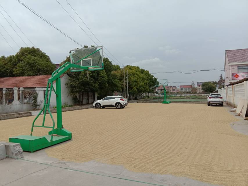 先进村宛虹路320号篮球场