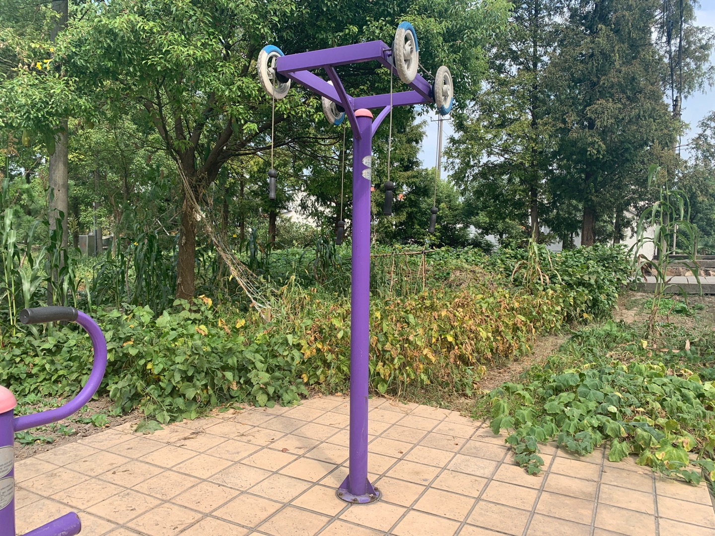 牵引器