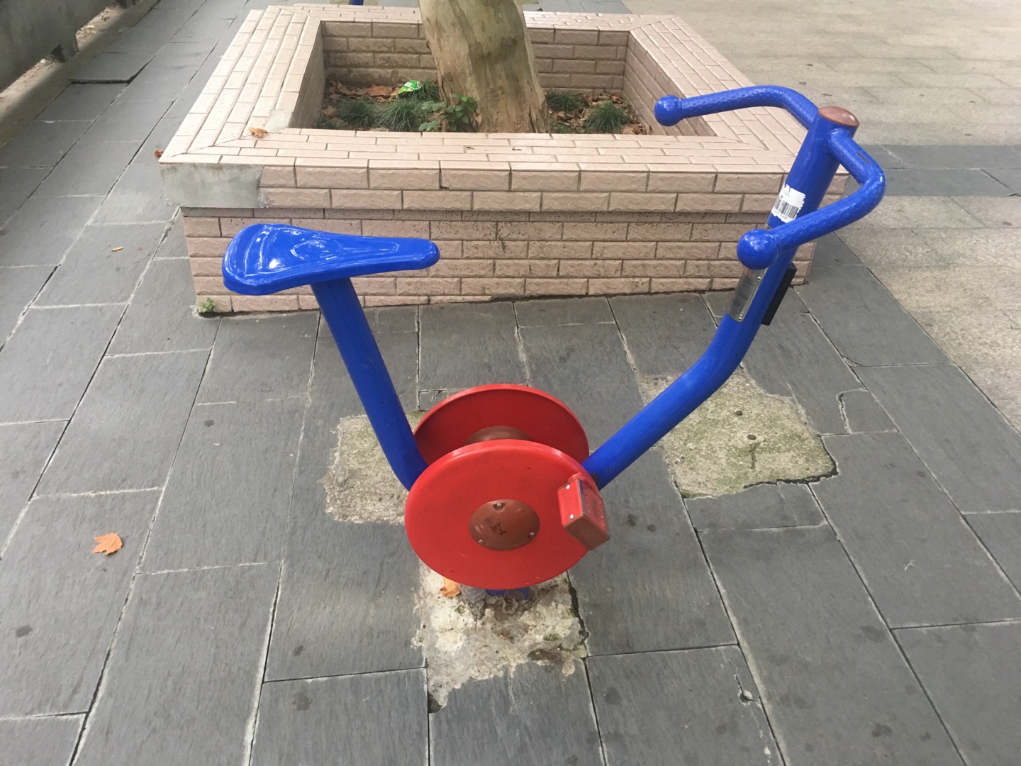 直立健身车