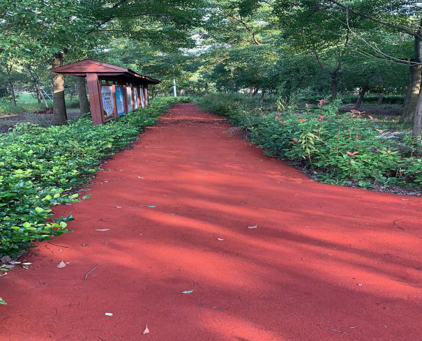 双津村健身步道2