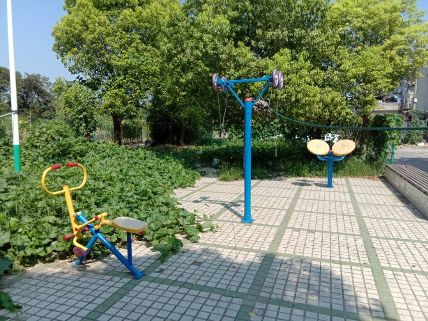 仓场村龚家村民组全民市民健身点