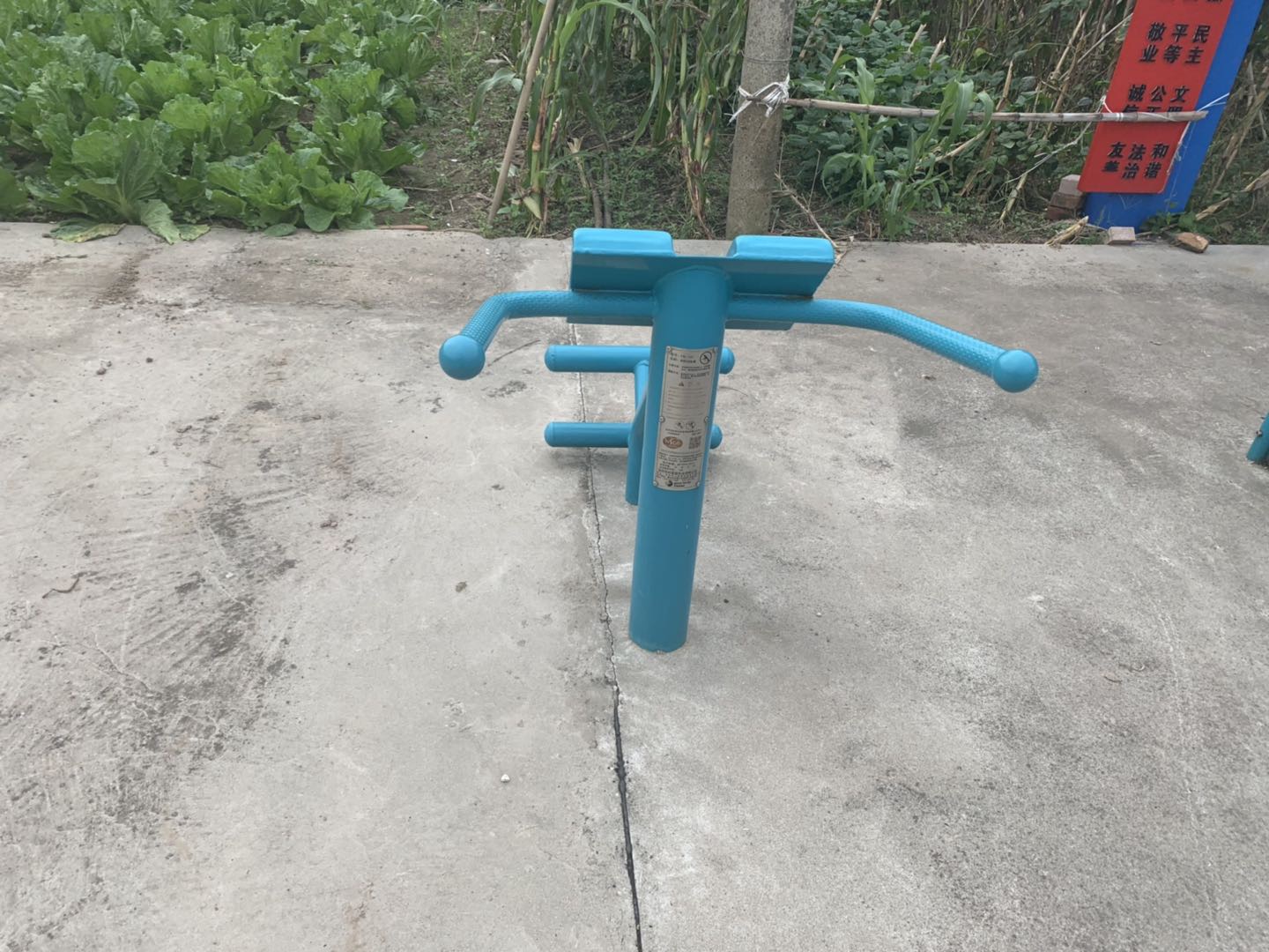 背肌训练器
