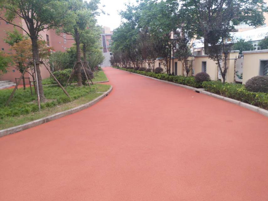 新虹街道文体中心市民健身步道