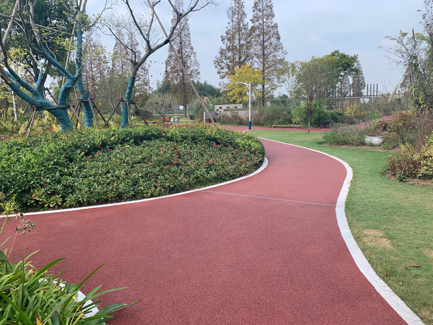 三星镇新安村健身步道