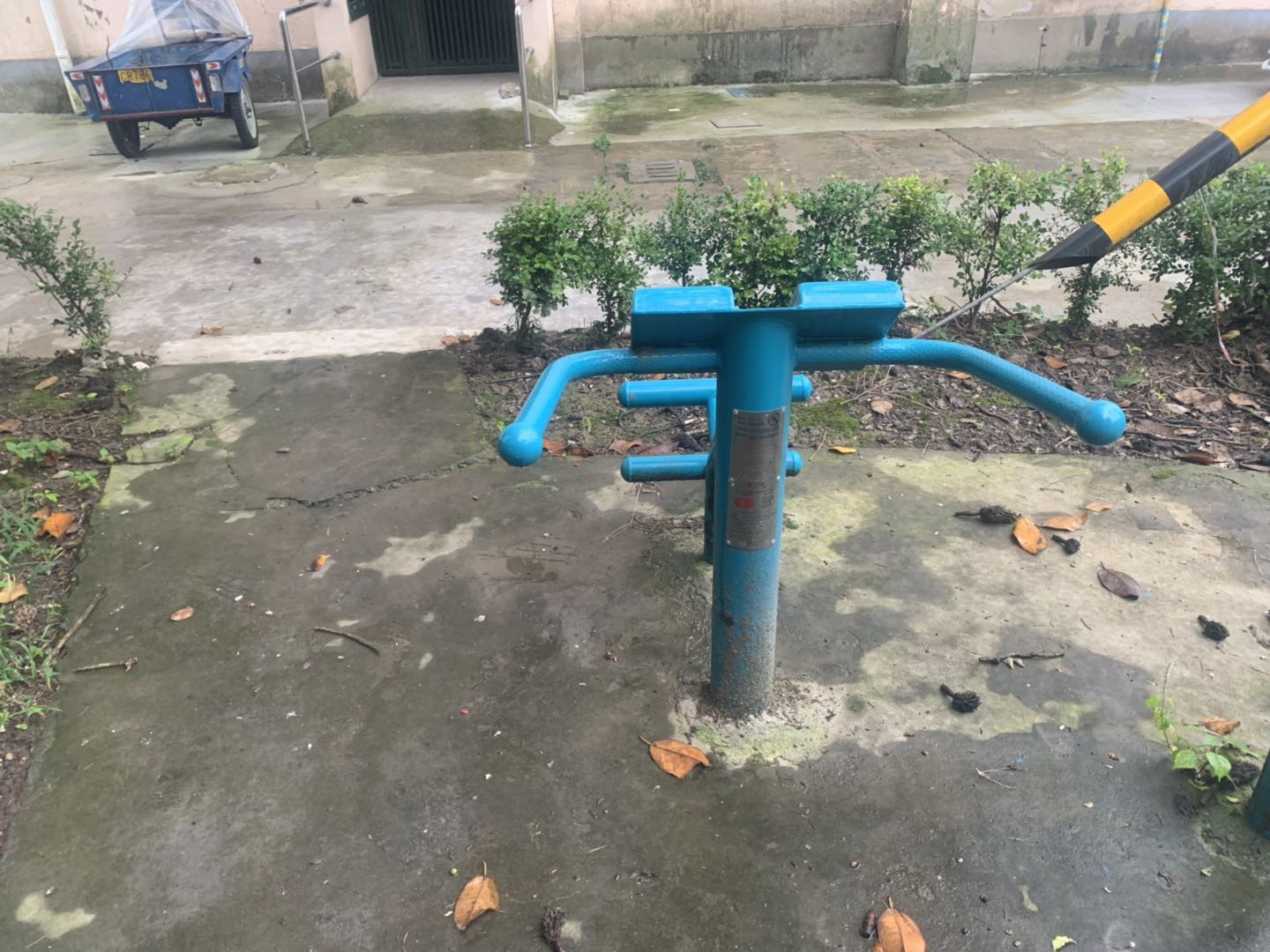 背肌训练器