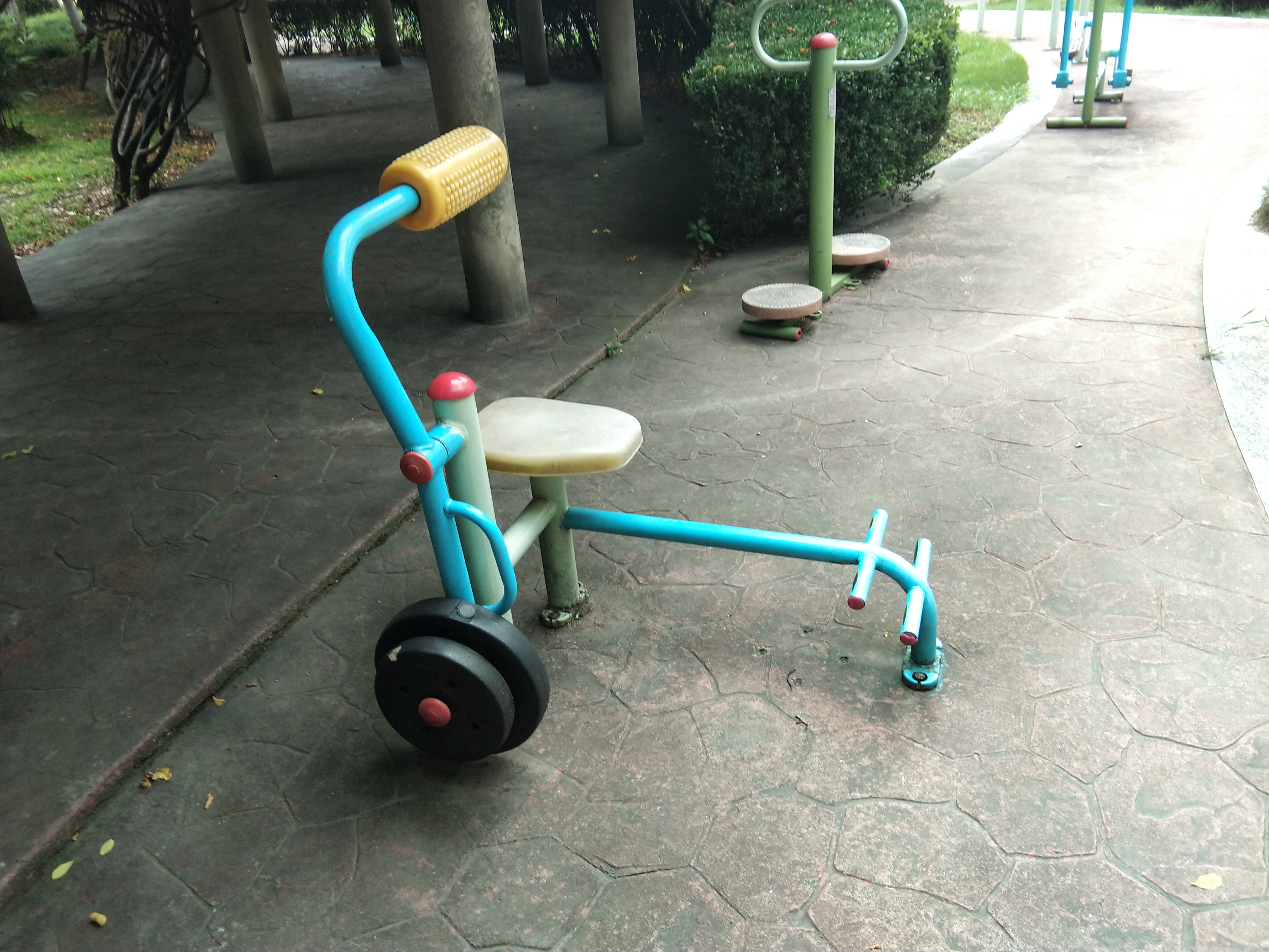 腹背锻炼器
