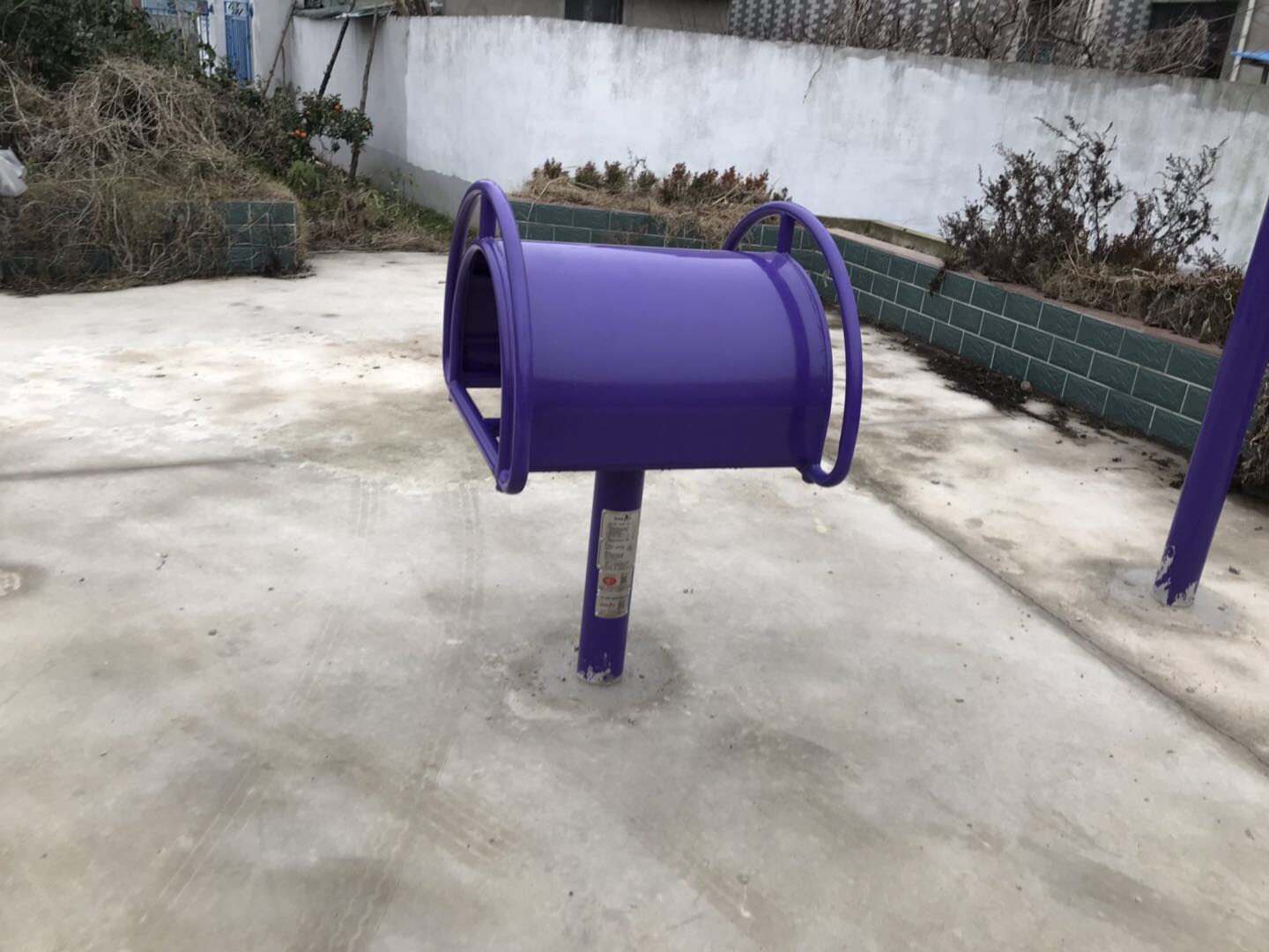 伸背器