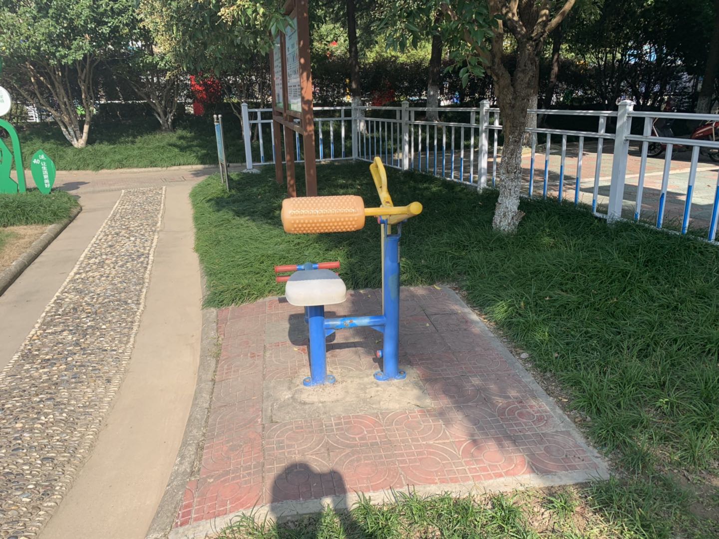 腹背锻炼器