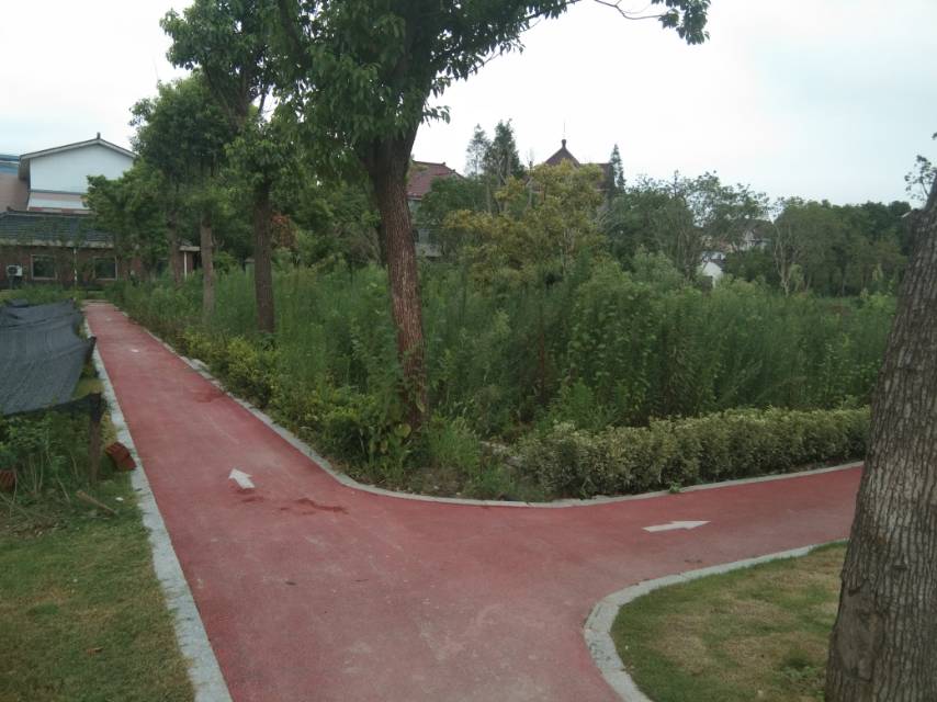 聚源桥村41