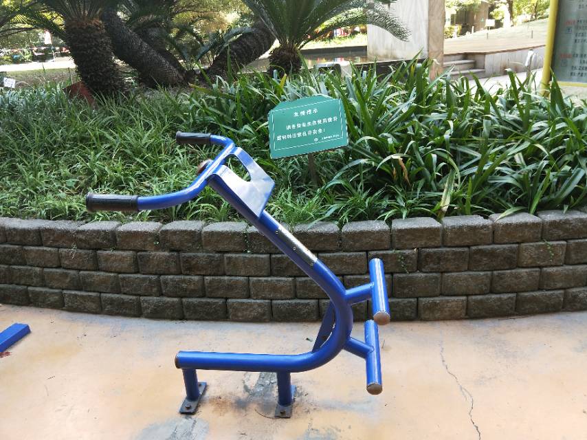 背肌训练器