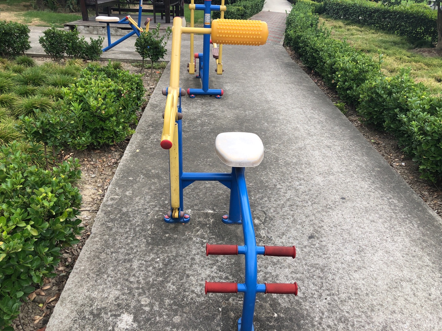 腹背锻炼器