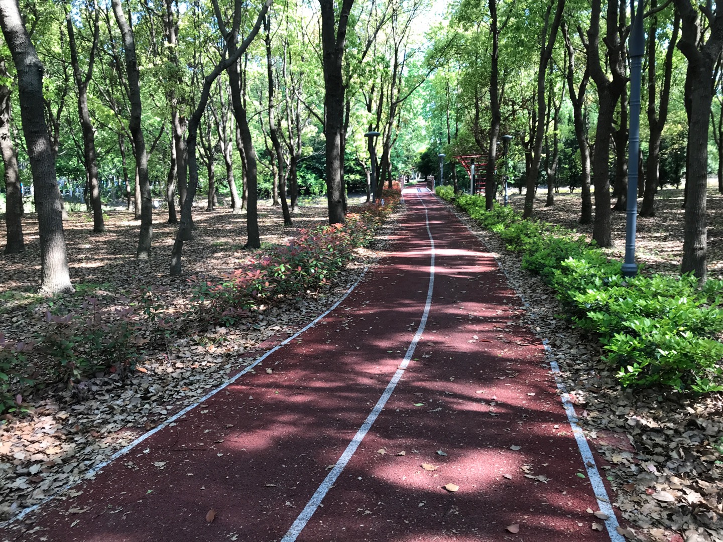 新丰村健身步道