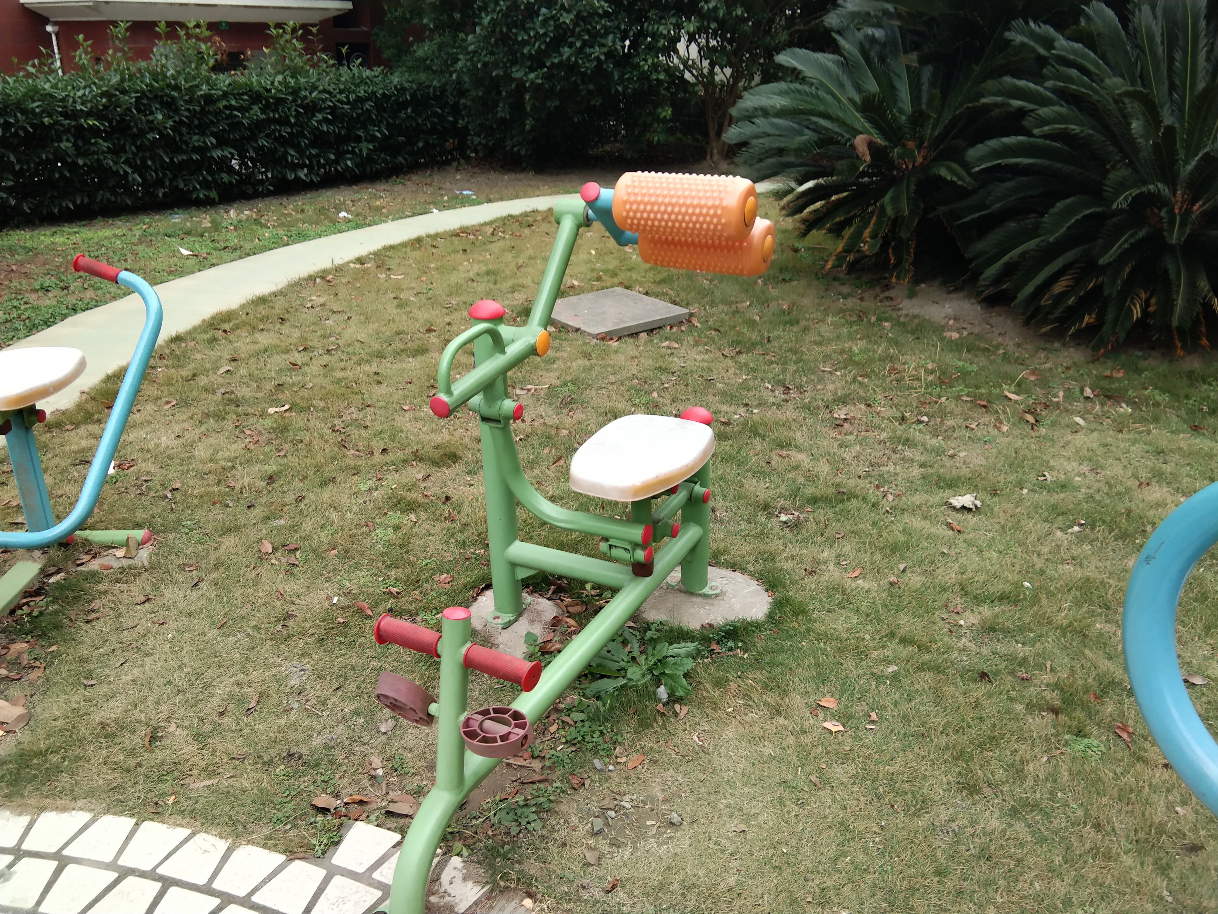 腹背锻炼器
