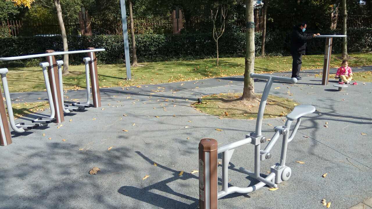 真如街道中铁佳苑健身苑点