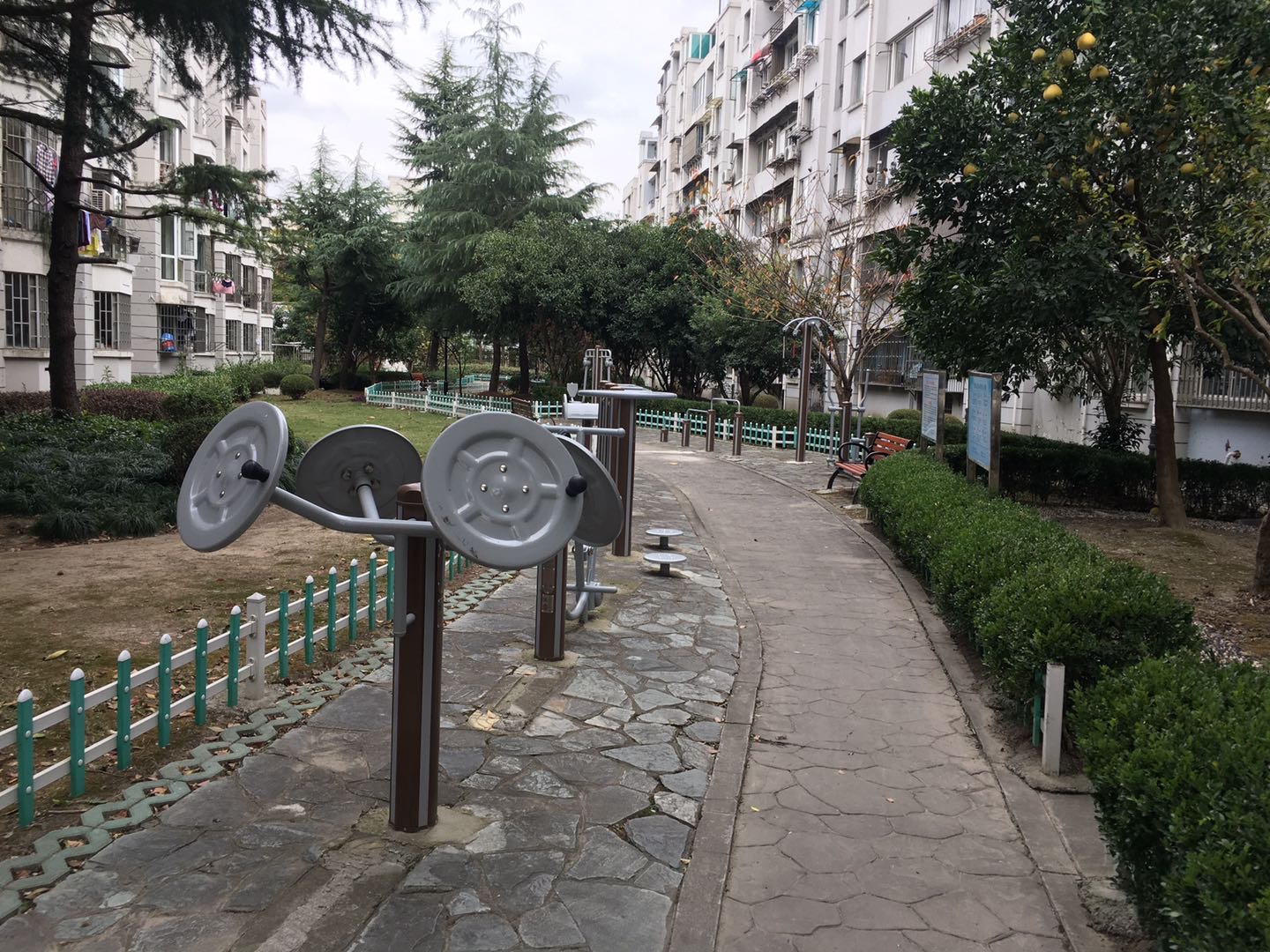 红枫苑居委健身点2