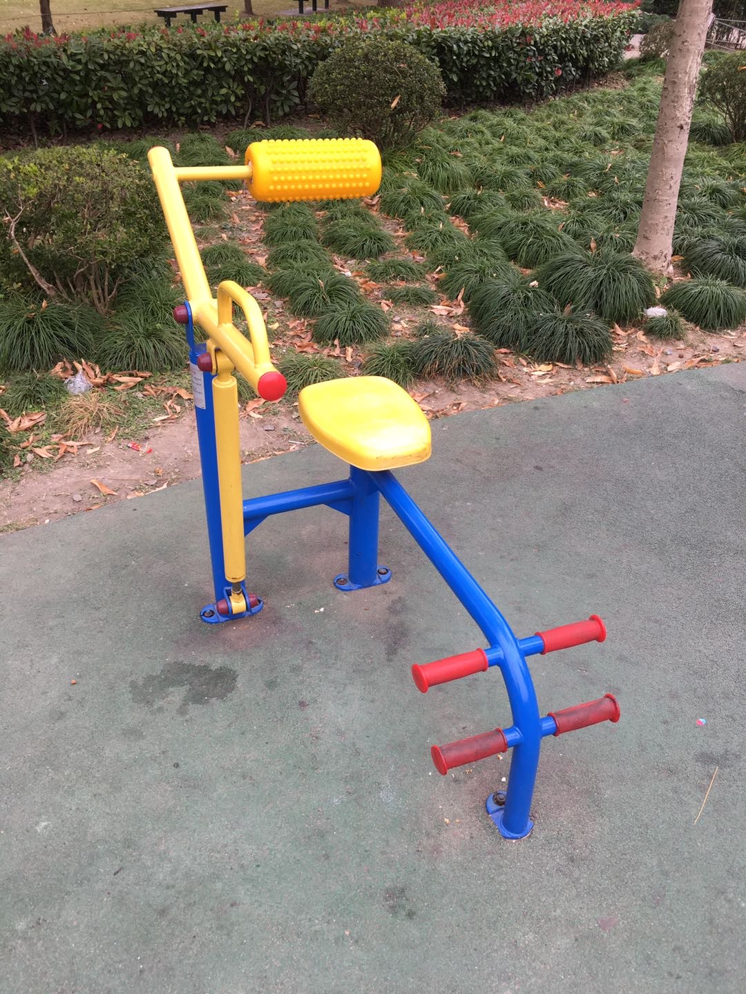 腹背锻炼器