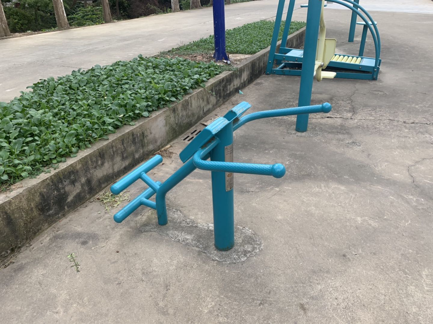 背肌训练器