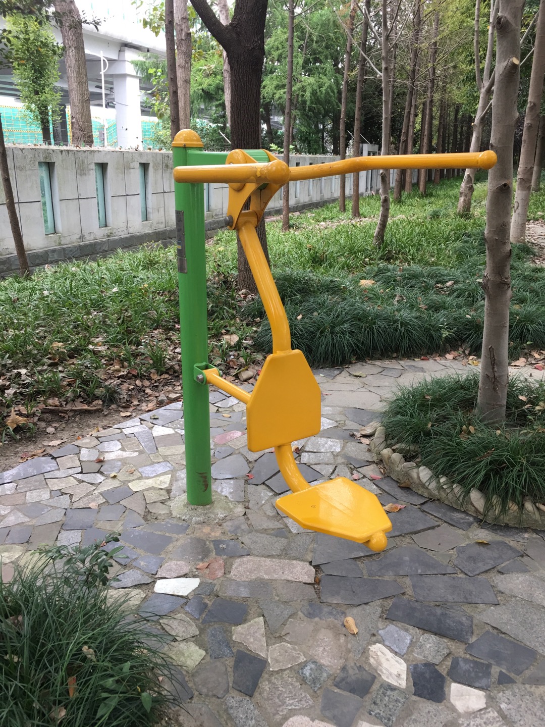 坐拉练习器
