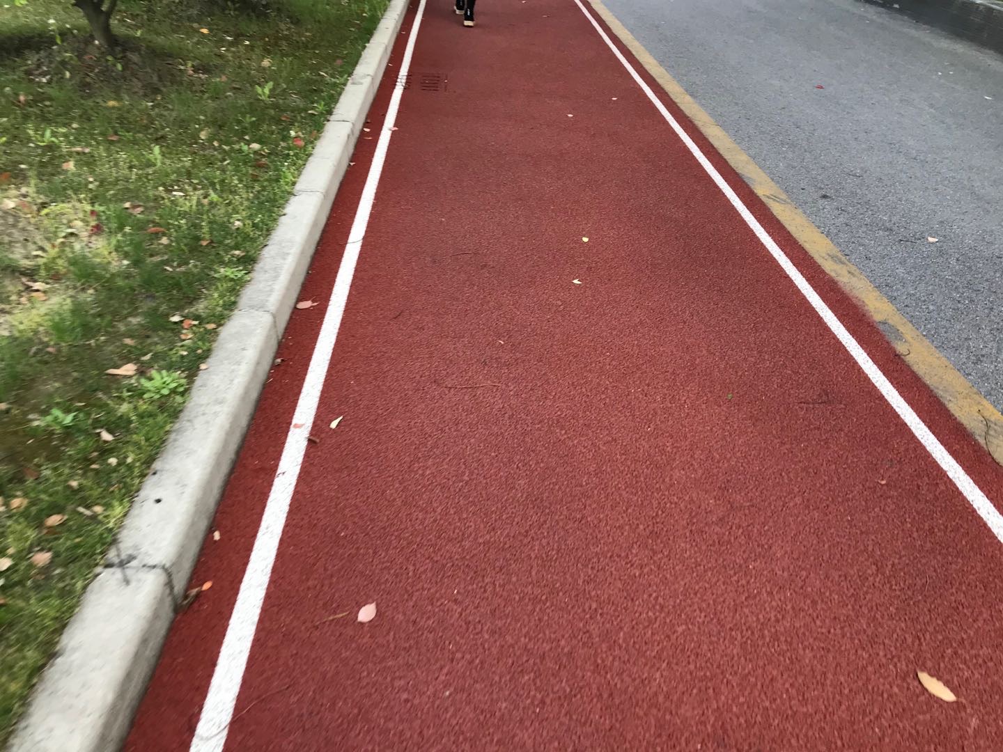 三林体育中心健身步道