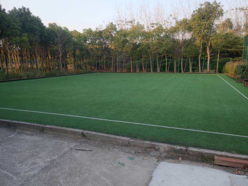 书院镇棉场村门球场