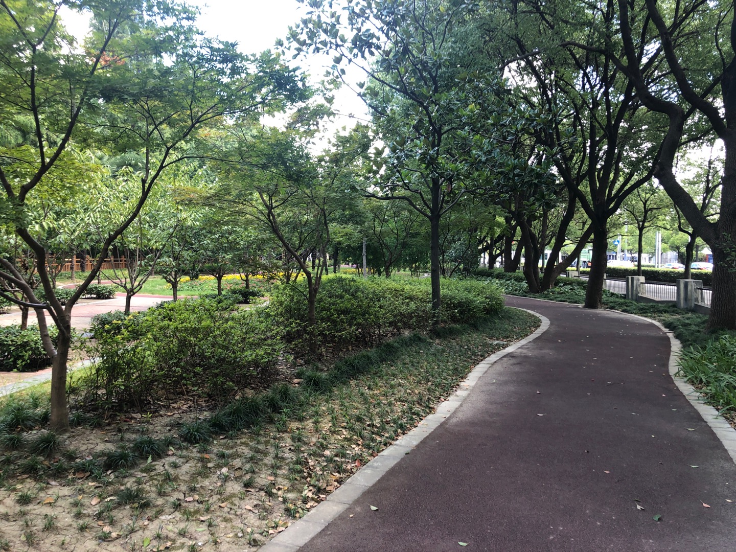 东川路沧源路百姓健身步道