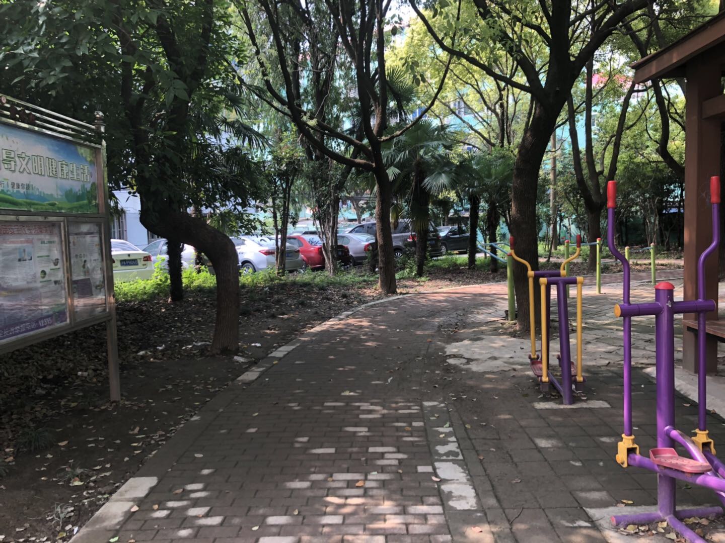 逸仙二村五居委健身苑点一