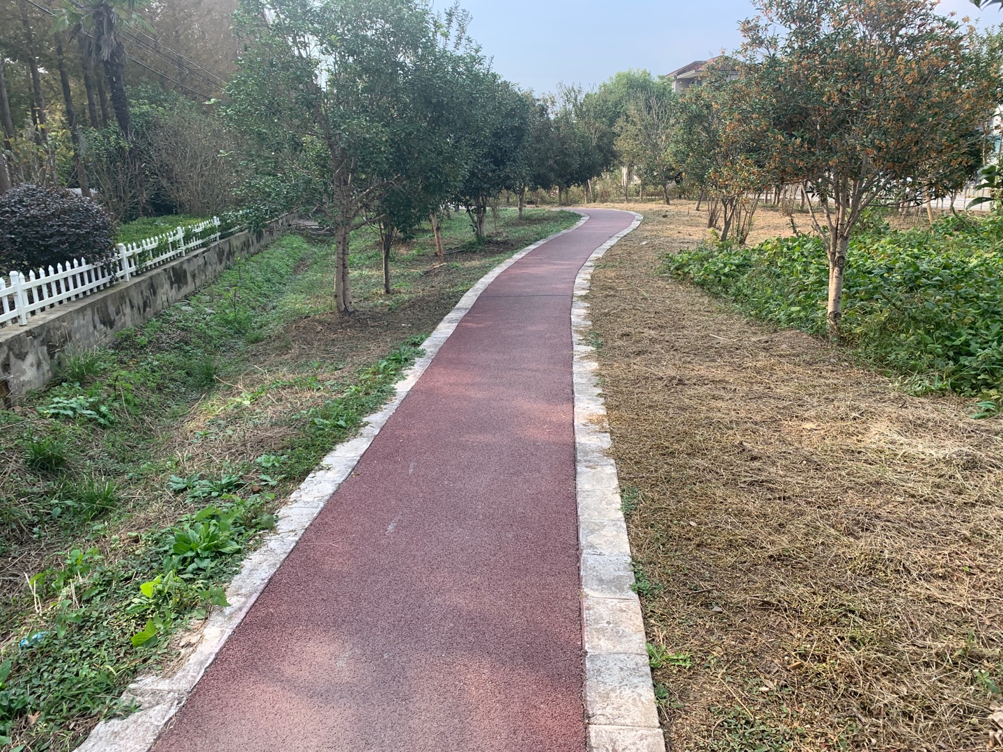 新村乡景观廊道健身步道