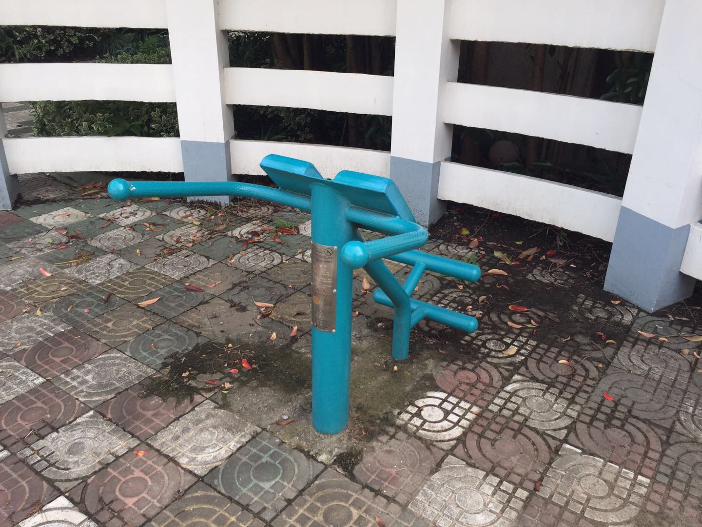 背肌训练器