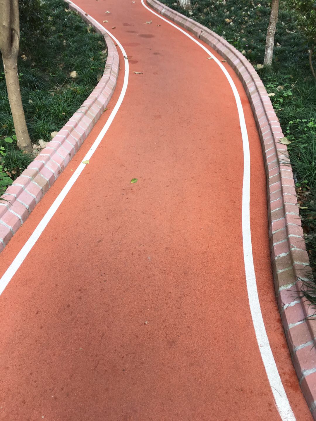 中远两湾城市民健身步道