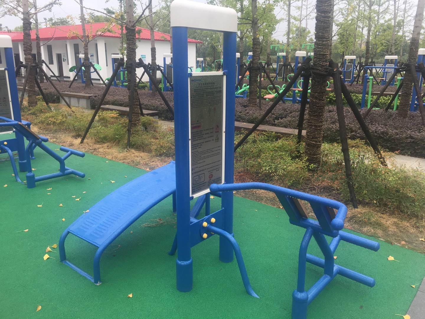 双立柱腹背训练器