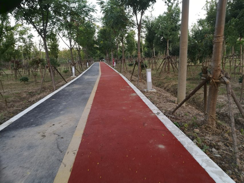 护塘南小区市民健身步道