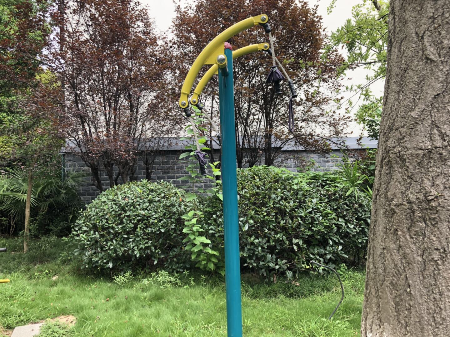 自重上肢锻炼器