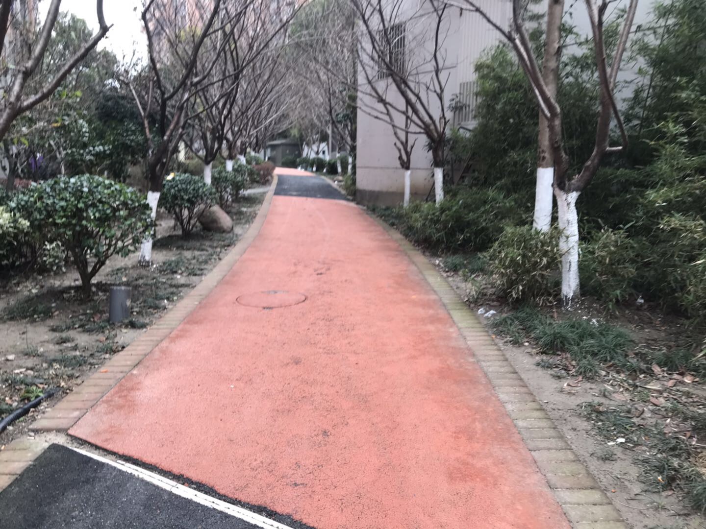 新桥镇新镇街市民健身步道