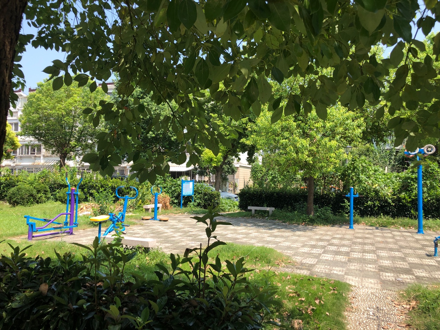 中心村健身点