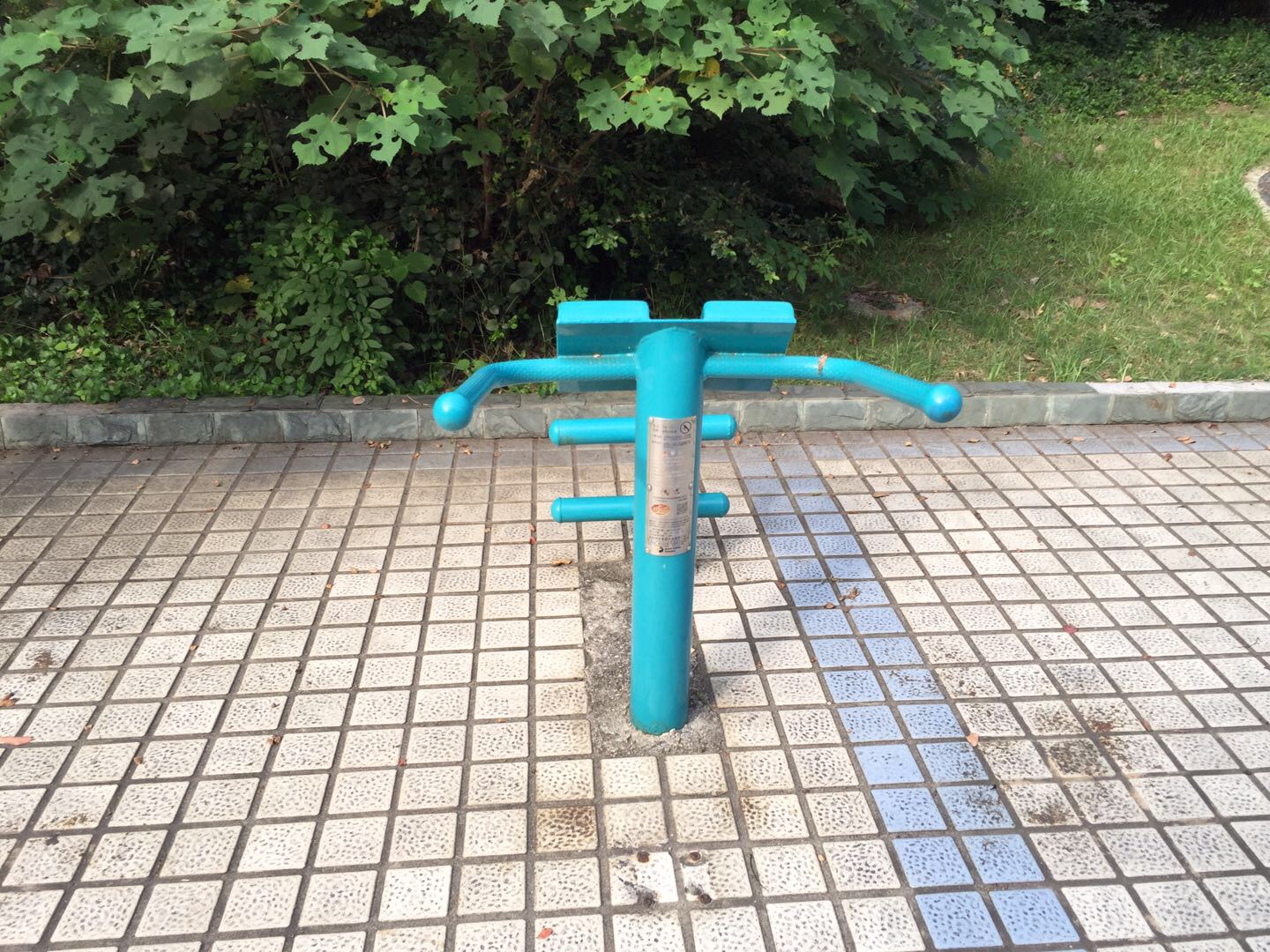 背肌训练器