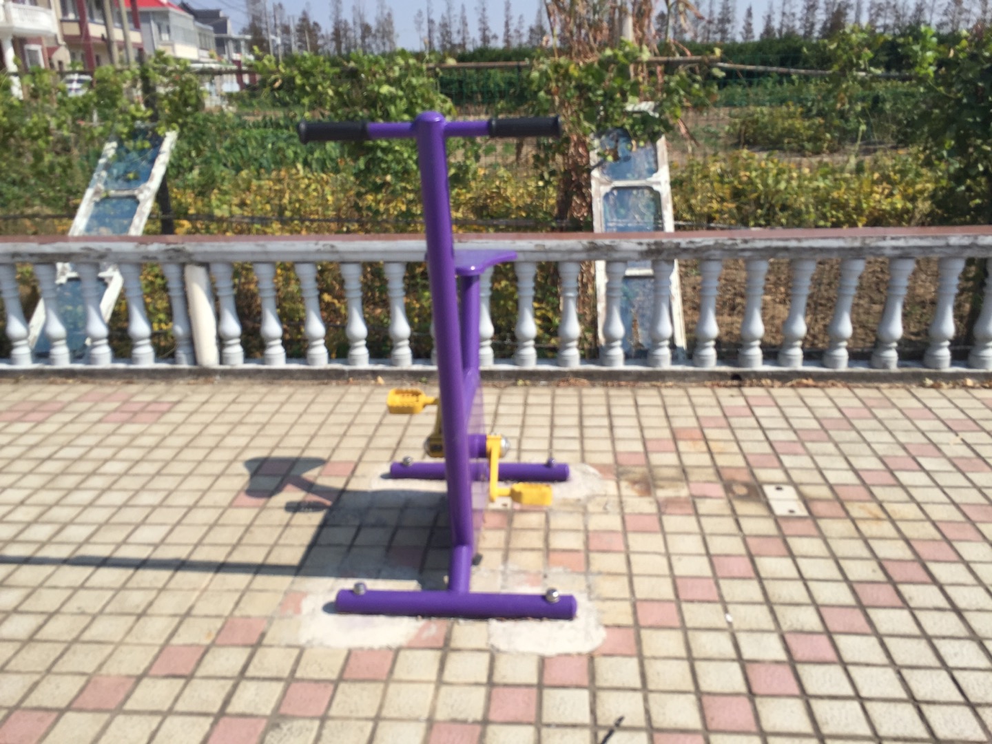 双位健身车