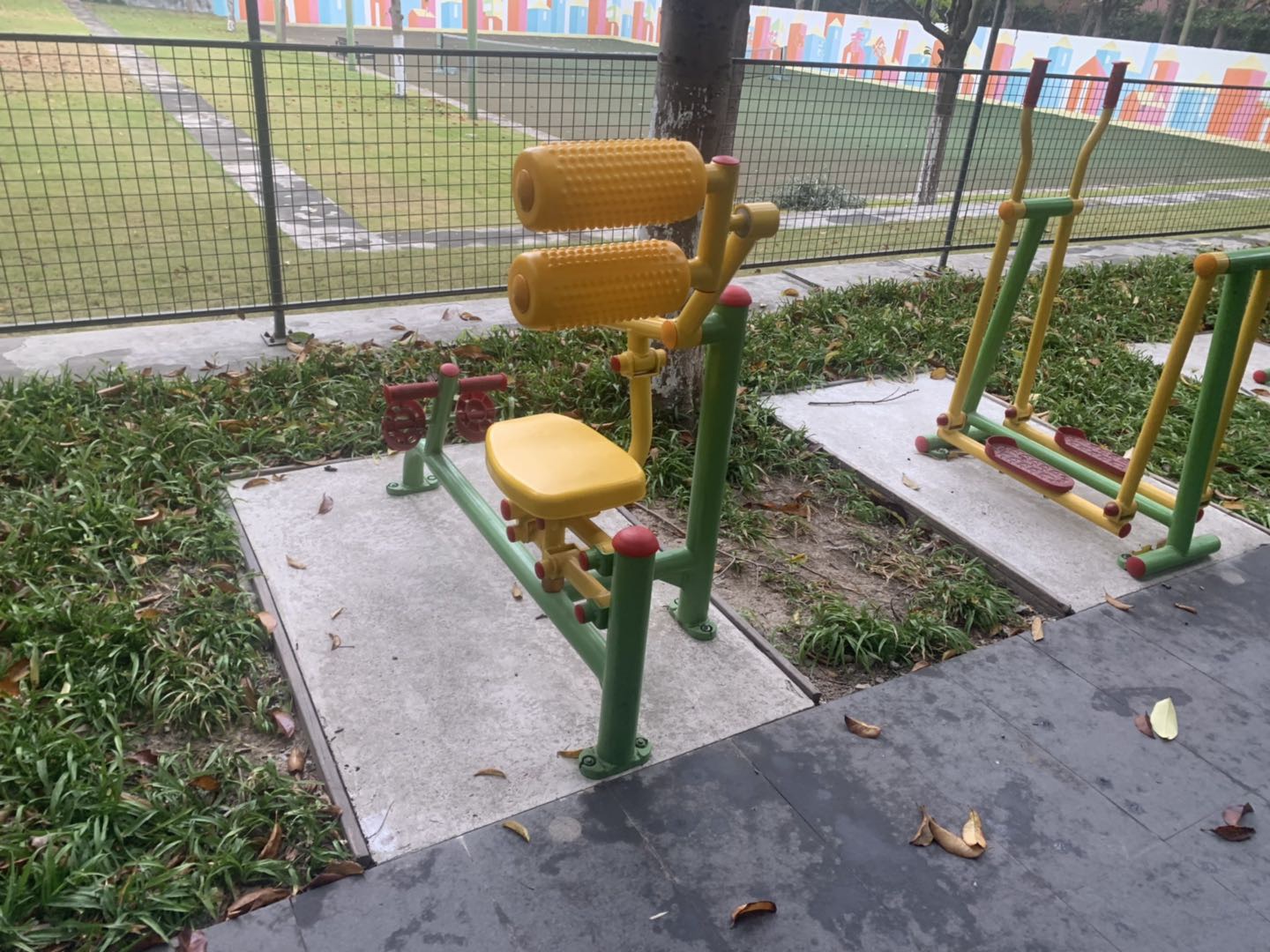 自重腹背锻炼器